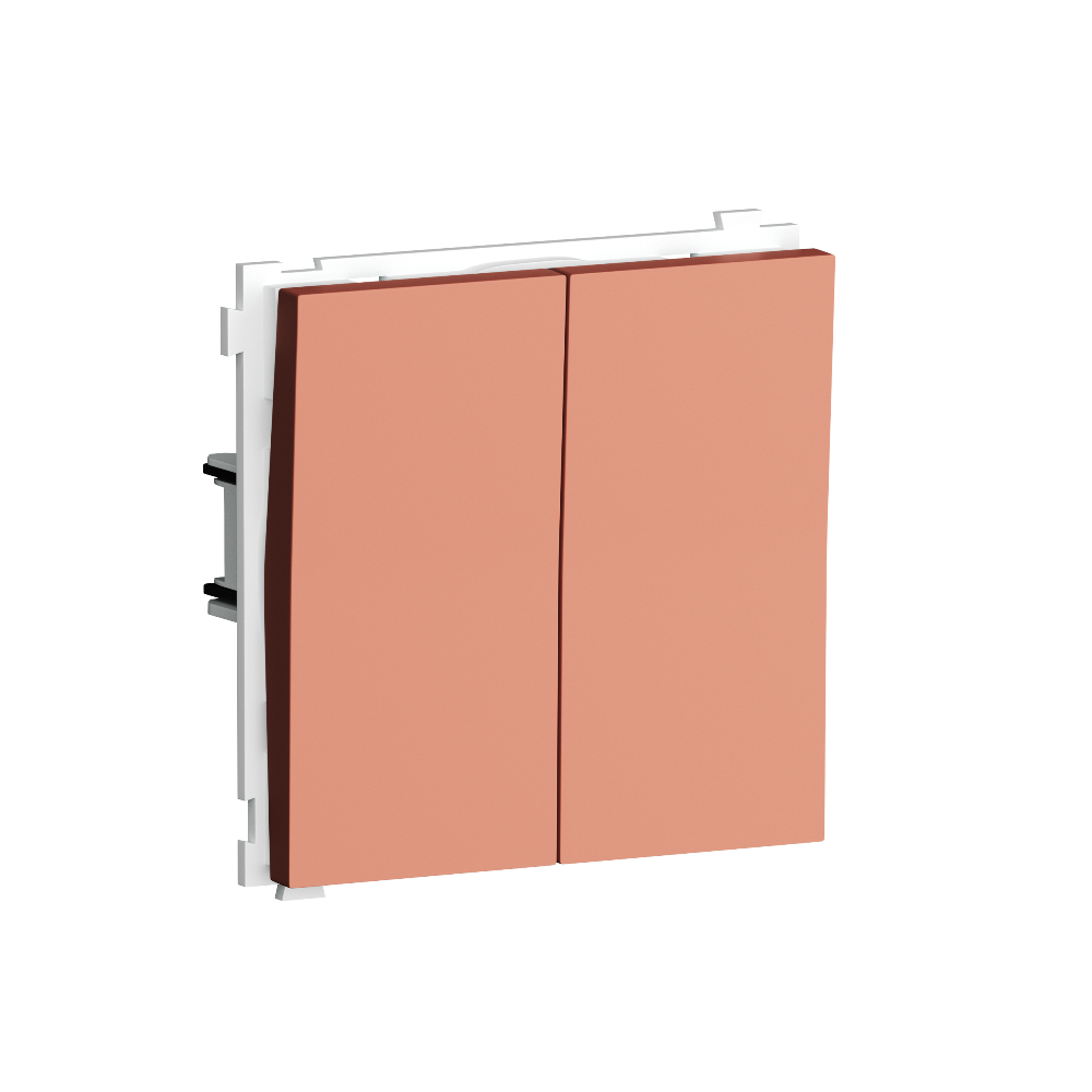 Выключатель двухклавишный встраиваемый Donel R98 Коралл матовый DA10500-DA29545