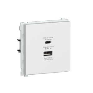 Розетка встраиваемая USB Donel R98 тип A+С быстрая зарядка Белый матовый DA20400-DA27733