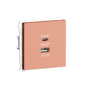 Розетка встраиваемая USB Donel R98 тип A+С быстрая зарядка Коралл матовый DA20400-DA27745